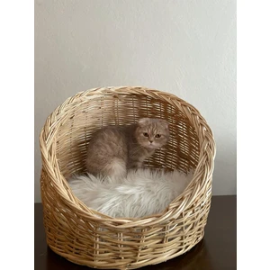 Beyaz Atölye Kedi Köpek Sepeti Büyük Boy