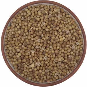 Yedi Değirmen Tane Kişniş 100 gr