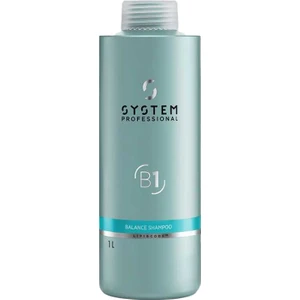 System Professional Balance Dengeleyici Saç Bakım Şampuanı 1000ML 4064666002156