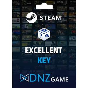 Dnz Game Steam Random Key (Excellent)