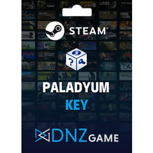 Dnz Game Steam Random Key (Paladyum)