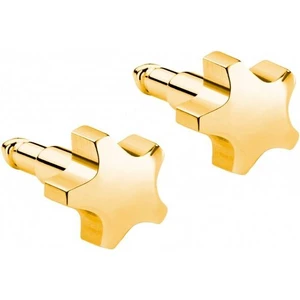 Kulak Delme Küpesi 1 Çift Gold Yıldız