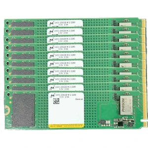 2450 256GB 10'lu 22x80 M.2 NVMe SSD