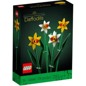 Iconic 40646 Daffodils