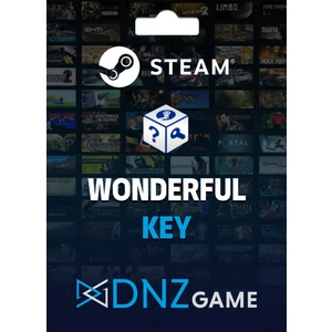Dnz Game Steam Random Key (Wonderfull)