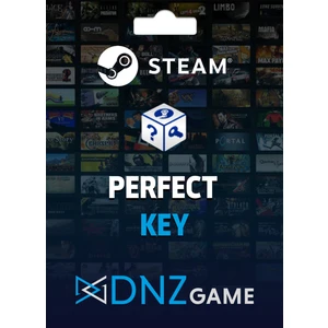 Dnz Game Steam Random Key (Perfect)