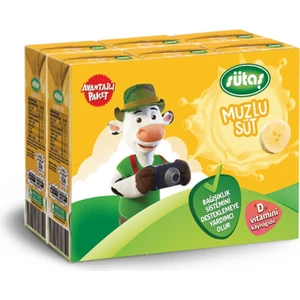 Muzlu Süt 6x180 ml