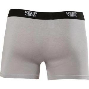 ANIT1266 Erkek Lycralı Penye Boxer
