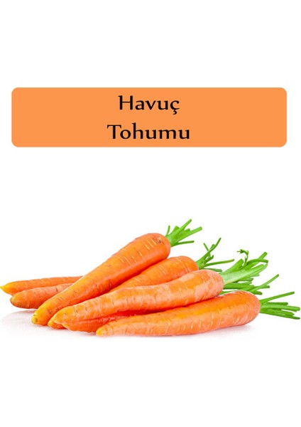 Havuç Tohumu 1 Paket (3GR=2500+ Adet) Nantes Havuç Tohumu