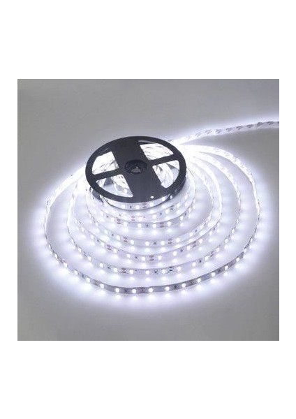 Şerit LED 12 V Dış Mekan Beyaz 5mt Bolled+Cata