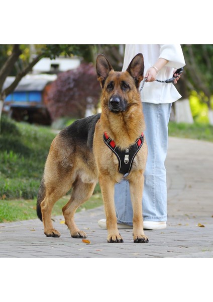 Sınır Ötesi Yeni Evcil Hayvan Tasması Yelek Tipi Büyük Köpek Göğüs Kemeri Yansıtıcı Patlamaya Dayanıklı Delme Köpek Tasma (Yurt Dışından)