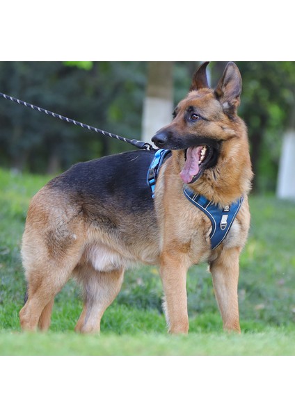 Sınır Ötesi Yeni Evcil Hayvan Tasması Yelek Tipi Büyük Köpek Göğüs Kemeri Yansıtıcı Patlamaya Dayanıklı Delme Köpek Tasma (Yurt Dışından)