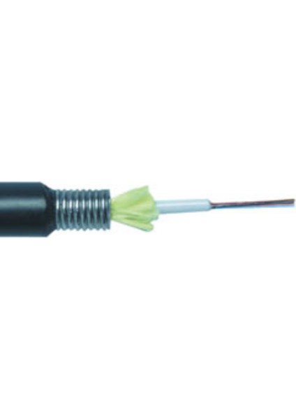 12 Core Sm Slt Fo Zırhlı Kablo D 652 D 1m