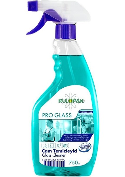 Cam Temizleyici 750 ml