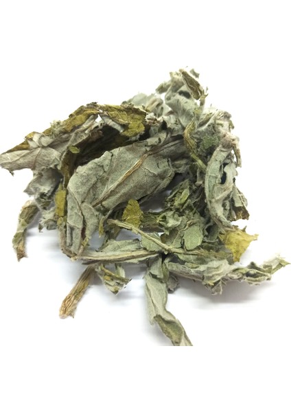 Enginar Yaprağı 1 kg fiyatları