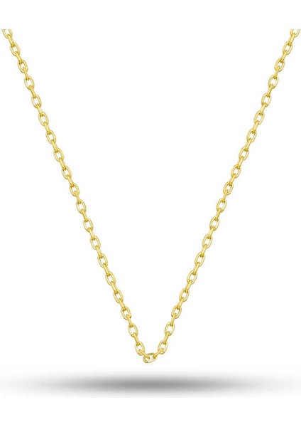 Gümüş Gold 0.30 Mikron 50 Cm Forse Kadın Zincir fiyatları
