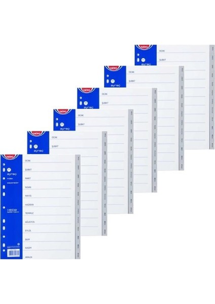 10 Adet Ocak-Aralık Ayraç Seperator fiyatları