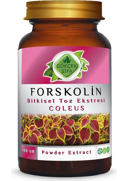 Forskolin Toz Ekstresi 100 Gr. Cam Kavanoz