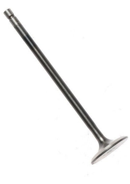 Sibob Egzoz Aysa 200