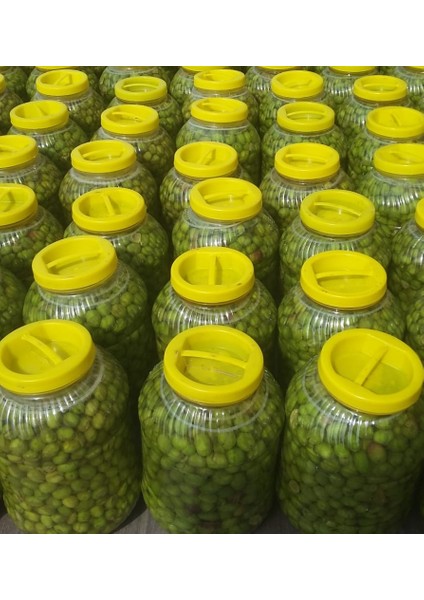 Ev Yapımı Kırma Yeşil Zeytin 3 kg fırsatları