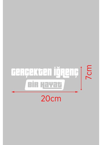 Gayış Edition Oto Sticker Araba Cam Sticker 20 x 4 cm fiyatları