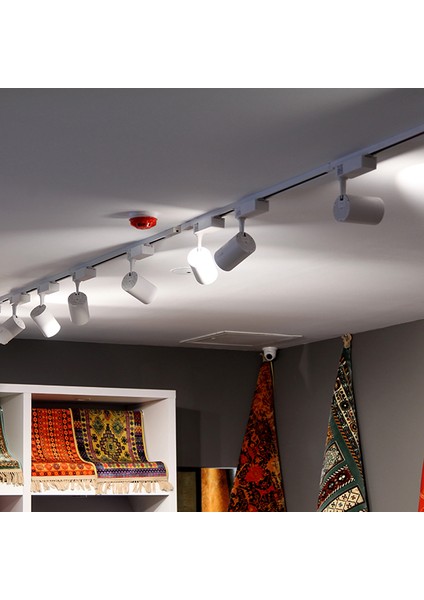 Led Ray Spot Armatür Monafaze 25 Watt fırsatları