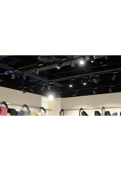 Led Ray Spot Armatür Monafaze 60 Watt