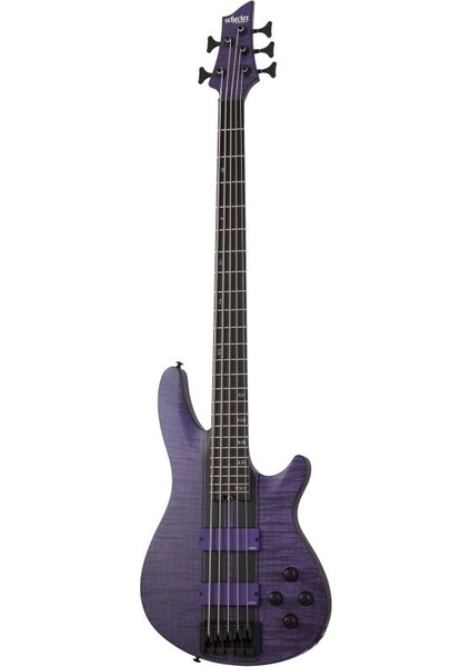 C-5 GT 5 Telli Bas Gitar (Satin Trans Purple)