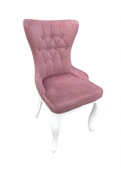 Sandalye ST GÖKYÜZÜ Kayın Aslan Ayak Babyface kumaş Dökme sünger Ortopedik Elyapı