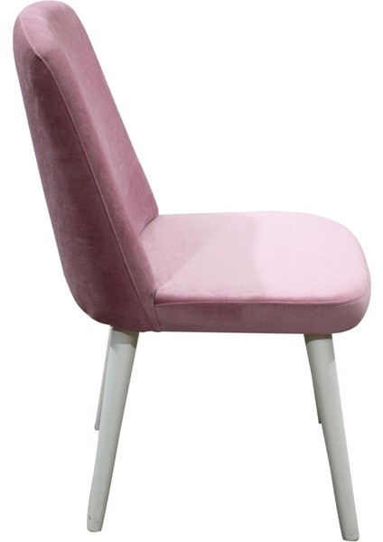 Sandalye ST GİYDİRME model Kayın RETRO Ayak Babyfac Pembe kumaş Parlak beyz papel