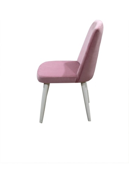 Sandalye ST GİYDİRME model Kayın RETRO Ayak Babyfac Pembe kumaş Parlak beyz papel