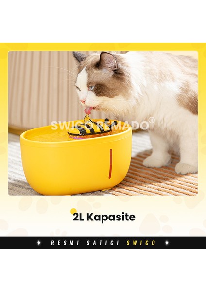 Filtre Fonksiyonlu Otomatik Pet Su Sebili 2l (Yurt Dışından) fiyatları