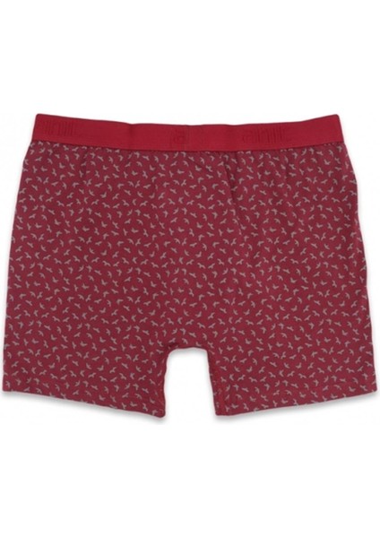 1267 Erkek Lycralı Penye Boxer fiyatları
