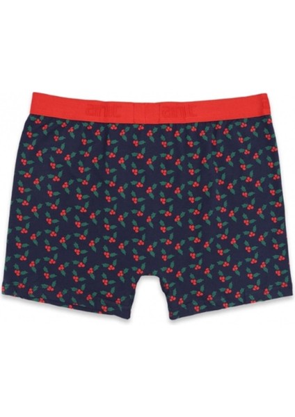 1267 Erkek Lycralı Penye Boxer indirimleri