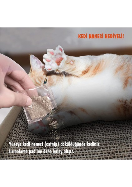 Paw Away Kedi Tırmalama Dalgalı Ondüle Karton Kutulu 24 cm x 48 cm