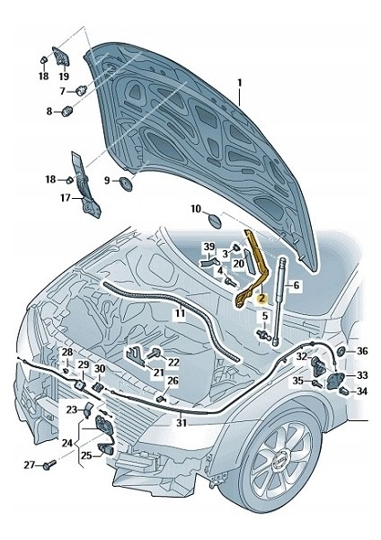 Motor Kaput Mentesesı Sol Audı A6 C7AUDI A7 11-18