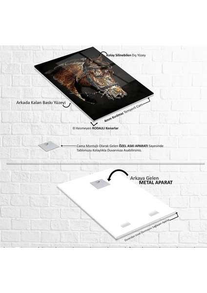 Özel At Cam Tablo indirimleri