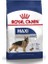 Maxi Adult Büyük Irk Köpek Maması 15 kg 1