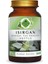 Isırgan Toz Ekstresi (Astragalus membranaceus)70 gr. Cam Kavanoz 9