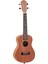 MU23C Concert Ukulele 2