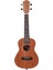 MU23C Concert Ukulele 5