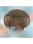 Zigon Zlf Halkalı Siyah Düz Temper Cam Tabla Metal Transmisyon Gold Kaplama El Yapım 4