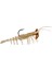 Teke Shrimp Silikon Karides - 514 White Magic 2