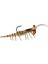 Teke Shrimp Silikon Karides - 514 White Magic 4