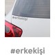  Renk Gri