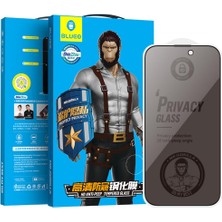 BLUEO iPhone 12 / 12 Pro Hayalet Anti-Peep Privacy Glass Cam Ekran Koruyucu