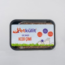 Petkülit 2'li Kedi Çimi -Siyah Kutu