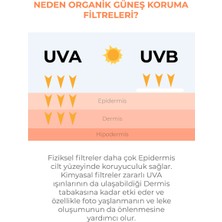 Sinoz Spf 50 Sebum Dengeleyici Aydınlatıcı Yüksek Koruma Yüz Güneş Kremi 50 ML Karma Yağlı Ciltler için