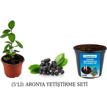 Grow Botanik 5'li Aronya Yetiştirme Seti