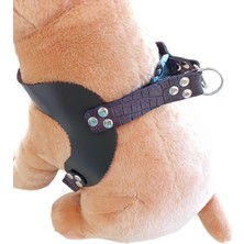 Balkonda Köpek göğüs tasması deri kahverengi genişlik:2,5cm göğüs ölçüsü:50-70cm ayarlanabilir dog harness GT1-2